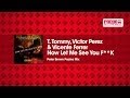 T. Tommy, Victor Perez & Vicente Ferrer - Now Let ...