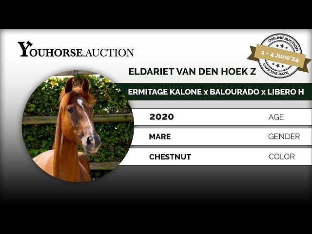 Eldariet van den Hoek