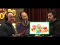 Psychedelics Messing With The MIND Joe Rogan Ari Shaffir And Big Jay