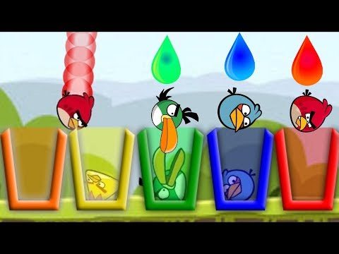 Angry Birds Drink Water 2 - EVERY ANGRY BIRDS DRINK RAINBOW WATER FULL LEVELS!
