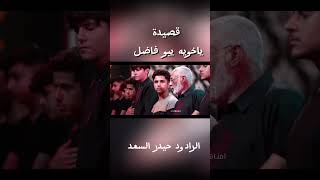 مادري شصار برقيه وتاهت ابين الخيول …