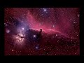 Clip 2