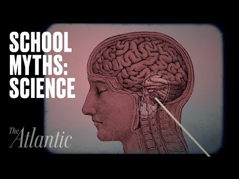 Common Misconceptions About the Human Body