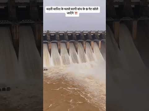 bargi dam current update Jabalpur ki khabar 3 August 2024 9 get khole jaa rahe