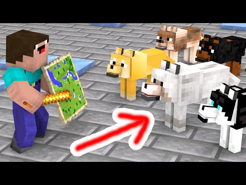 Monster School : A Dog's Adventure - Minecraft Animation