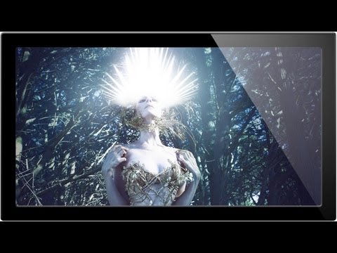 How to Set Up and Use a Wacom Tablet