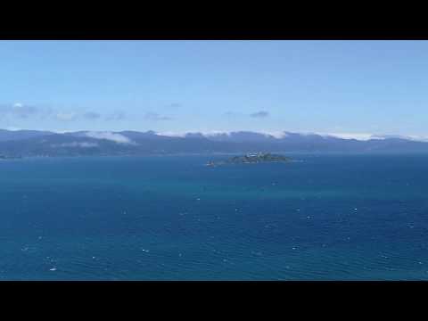 Wellington's Hidden Treasure: Te Ara Papararangi Bush Walk