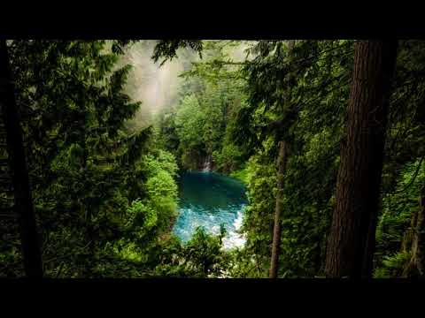 Muzika za opustanje i smirenje 2 - Sumske Vile, opustite mozak, Opusti se i uzivaj, HD