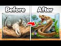 I Transformed An Abandoned Snake S Home