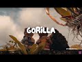 👫 Gorilla - Bruno Mars [LYRICS]