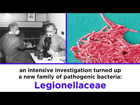 Legionnaires’ Disease: Legionella pneumophila