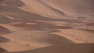 Download lagu Kembara Di Tanah Gersang (Lirik) - Al Jawaher mp3 Download lagu Kembara Di Tanah Gersang (Lirik) - Al Jawaher mp3