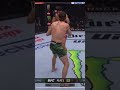 Double Knockdown At UFC281 Shorts Ufc Mma Dana Knockout Fyp Ufc281