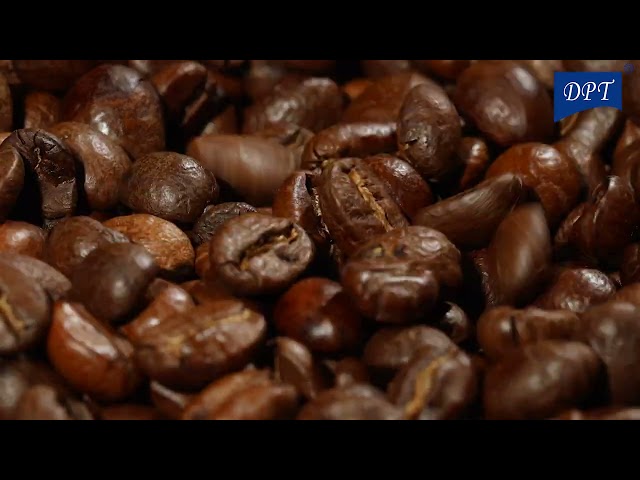 طاحونة قهوة استانلس ستيل عالي الجودة يدوية 30 جرام- طحن دقيق واحترافي، سهلة الحمل والاستخدام،ضمان سنتان