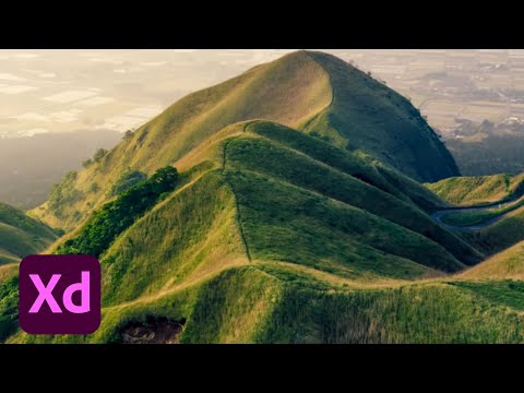 Getting Started in Adobe XD: Creating an Animated Landing Page | Adobe Creative Cloud