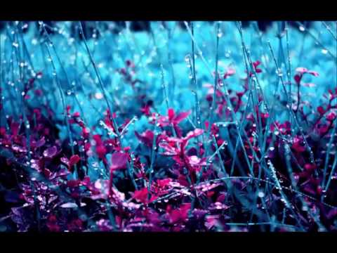 Muhamed Mujkanović - Kada moja mladost prođe