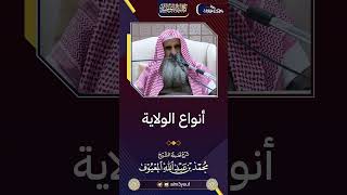 صورة 14 أنواع الولاية