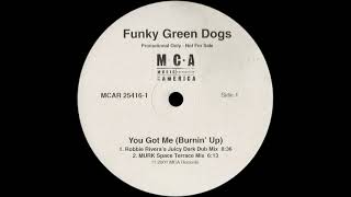 Funky Green Dogs - You Got Me (Burnin' Up) (Robbie Rivera's Juicy Dark Dub)