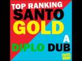 Santogold - Trouble Andrew Diplo Mix 