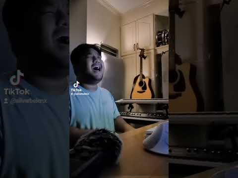 Yun Ka by Willie Revillame Oppafied cover