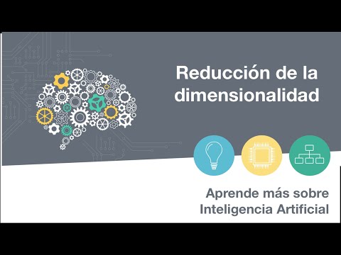 REDUCCIÓN DE LA DIMENSIONALIDAD | 12 Aprende más sobre Inteligencia Artificial