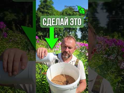 🥬 СЛИЗНИ и МУРАВЬИ пропадут навсегда! 🐜 Эффективный способ