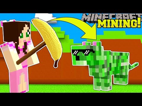 Minecraft: MINING SIMULATOR!!! (MINE DIAMONDS & GET EXTREME PETS!) Modded Mini-Game