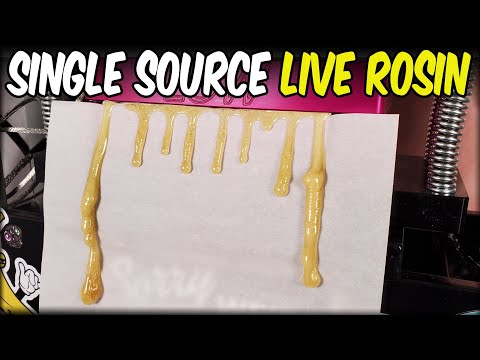 Strawberry Guava LIVE ROSIN 3 Presses SUPER FIRE!!!! Using Lowtemp Cage kit plates