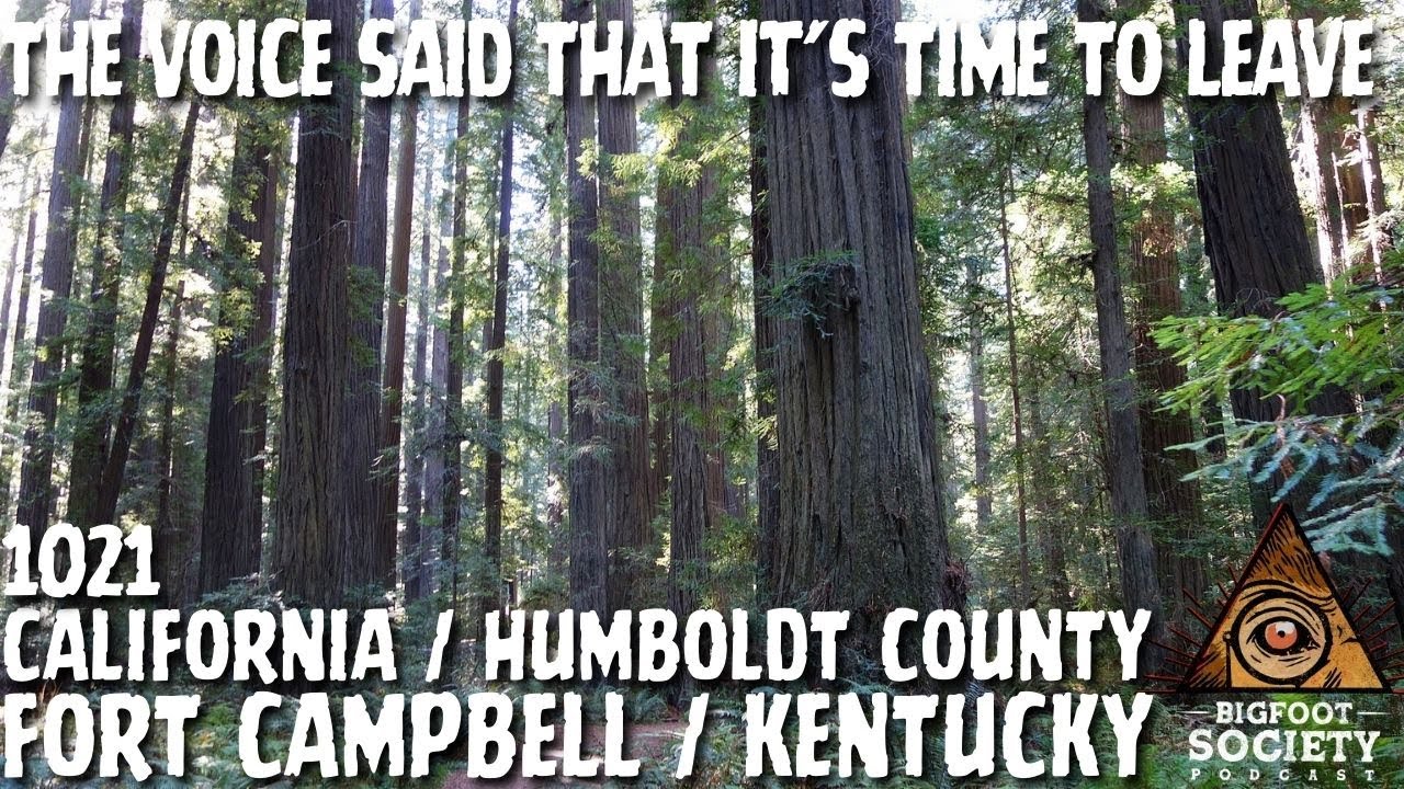 Military Bases, Cemeteries & Deep Woods | Unsettling Bigfoot Encounters