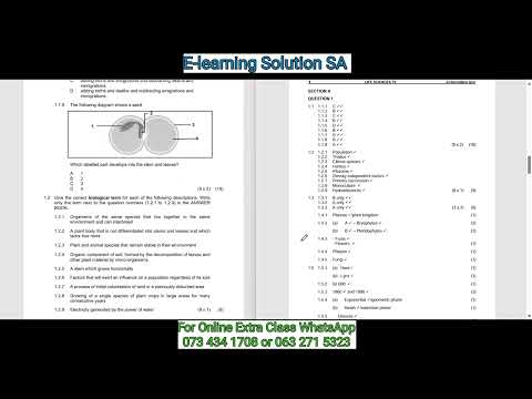 Grade 11 Life Sciences Term 4 | Final Exam Paper 2 of 2025