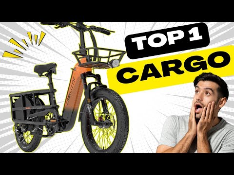 The best cargo bike I've tested (Lankeleisi Wombat-1)