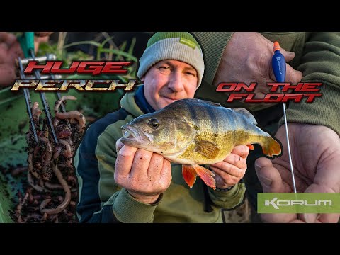 HUGE PERCH ON THE FLOAT