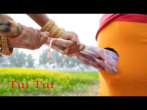 Tui Tui Unlimited  Comedy Video????Tui tui Best Funny Video 2022????Special New Video