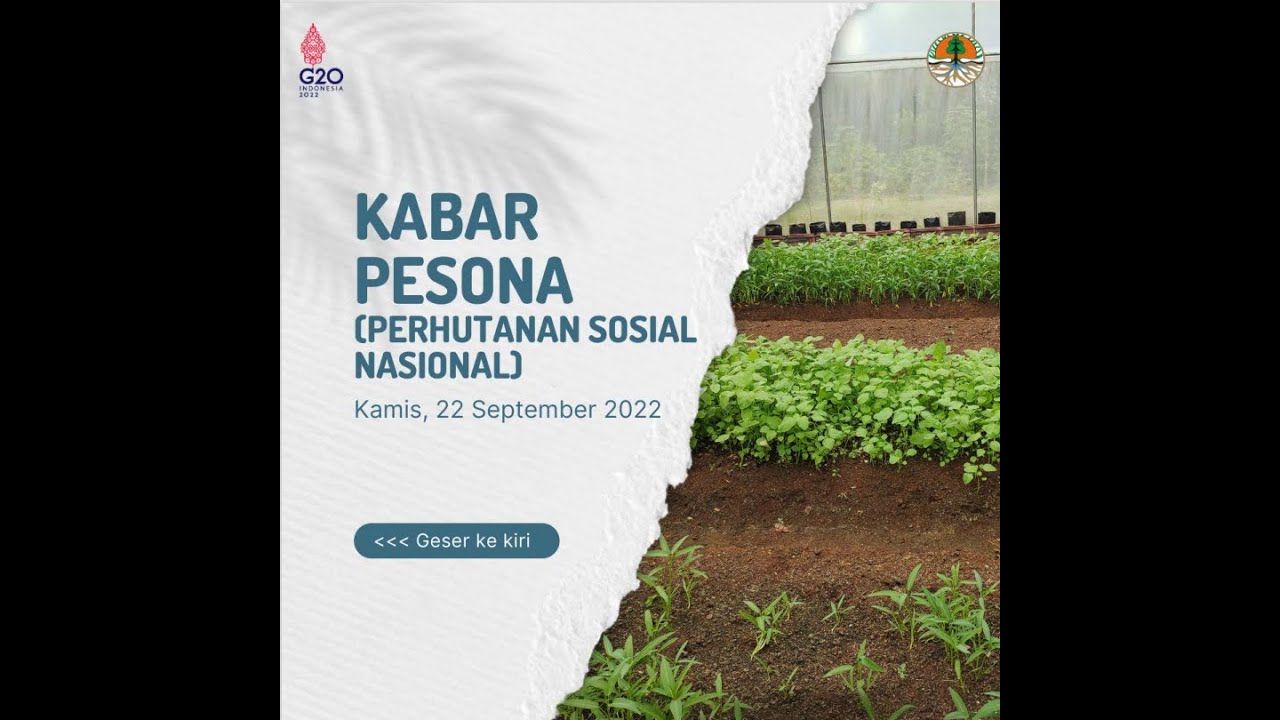 KABAR PESONA (PERHUTANAN SOSIAL NASIONAL) KAMIS, 22 SEPTEMBER 2022