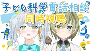 [閒聊] VEE Official 時間表 2024/12/29(日)