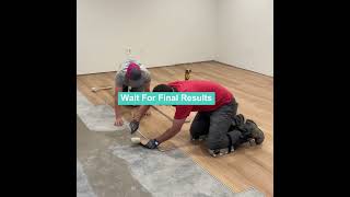 Real-Life COREtec Calypso Oak Vinyl Plank Flooring Review &amp; Installation - Before and After!