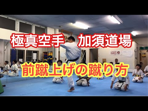 極真空手 前蹴上げ 蹴り方 埼玉加須市 子ども キッズ 人気の習い事 武道 空手教室 大人空手 格闘技 karate school martial arts キック 近くの空手道場