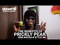 Macka B's Medical Monday 'Prickly Pear'