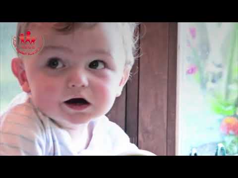 img-video