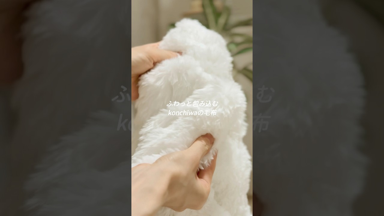 冬に取り入れてよかった寒さ対策アイテムのご紹介🪽#konciwa #konciwa毛布
