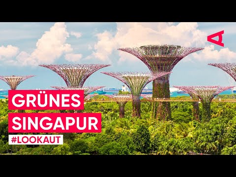 Die Green Transition in Singapur