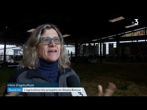 Le développement de l'agriculture bio en Alsace Bossue