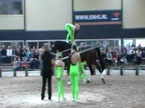 ST Krumke, CVI Ermelo 2012, Kür Sonntag .MOD