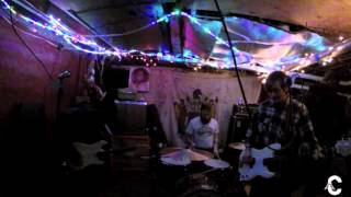 Dogs on Acid - Live at the Bomb Shelter