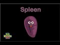 Human Body/Spleen Song /Human Body