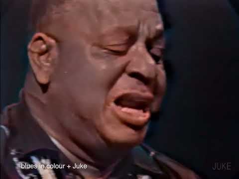 Big Joe Williams - Mule To Ride live [Colourised] 1966