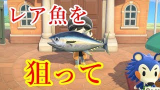 【暴言あつ森#3】マイル島に来たのに誰もいなくて泣いた