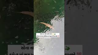 Download lagu Ma khodiayar Sona na nath valo magar #khodiyarma #galdhara #dhari #khodal #maa #માં #ખોડલ mp3