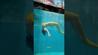 Download lagu Daltonganj Ki Jalpari: Ek Rahasya”Paani Mein Chhupi Sachchai” #jalpari #india mp3 Download lagu Daltonganj Ki Jalpari: Ek Rahasya”Paani Mein Chhupi Sachchai” #jalpari #india mp3