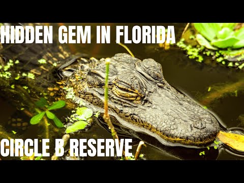 What is Circle B Bar NATURE Reserve? January 2023